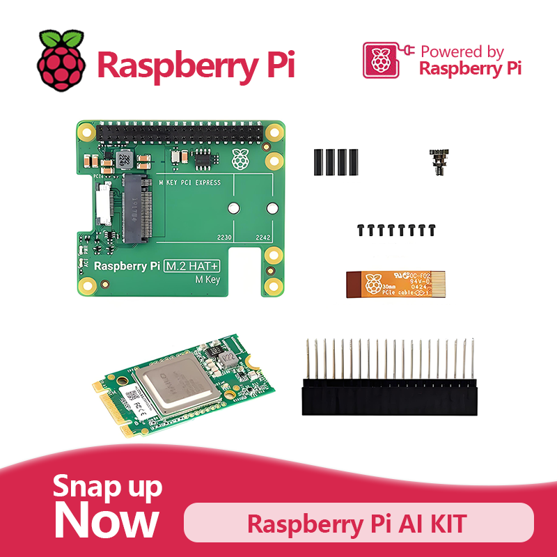 Kit AI ufficiale Raspberry Pi  - Raspberry Pi Ai Kit Hailo-8L recensione e prezzo